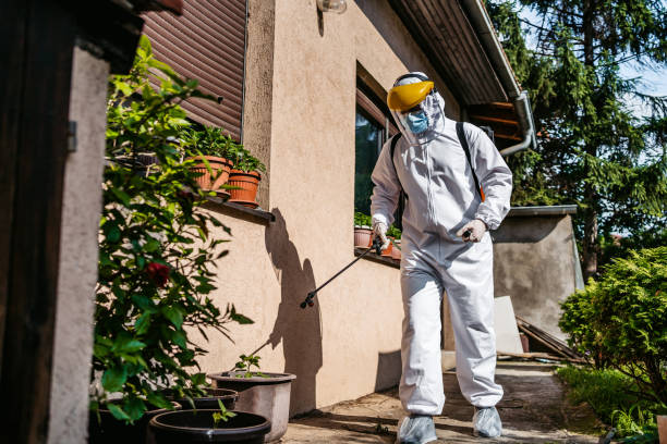 Best Mosquito Control Services  in Clayton, NJ