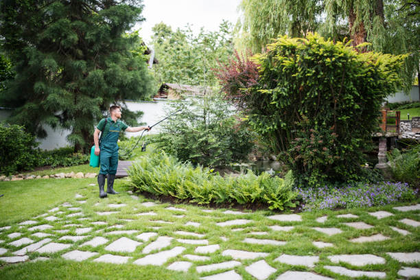 Best Exterminator Services  in Clayton, NJ