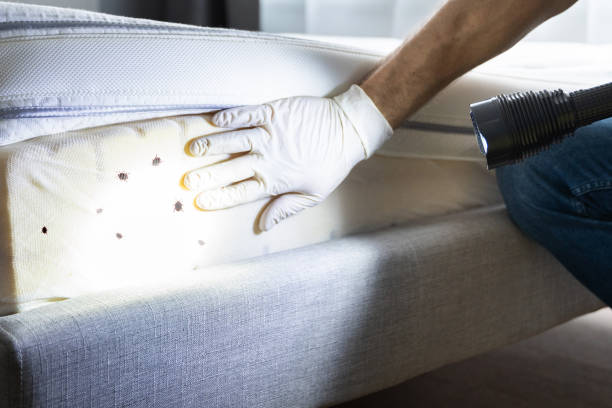 Best Best Pest Control Companies  in Clayton, NJ